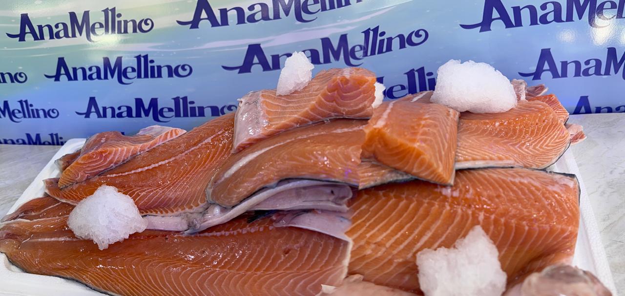 Salmon Pesca del día!